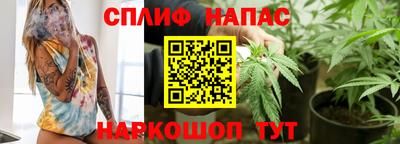 дмт Ставрополь